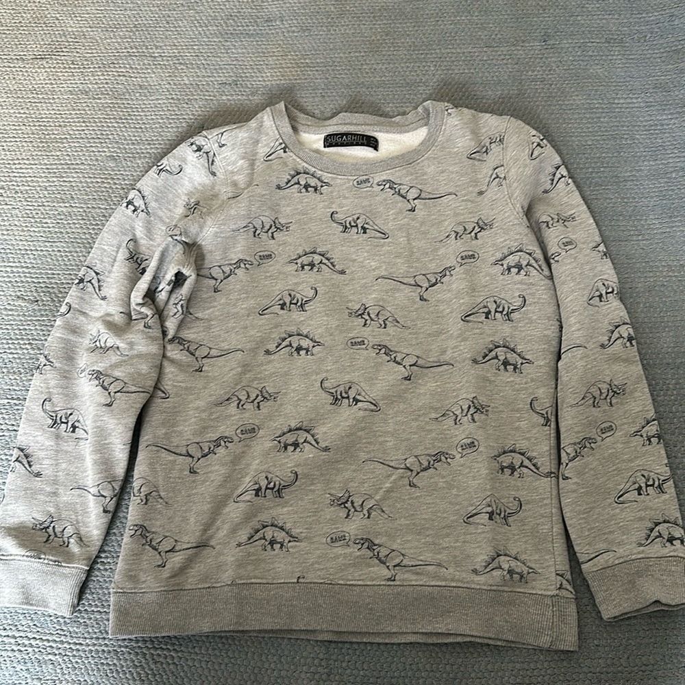 ModCloth Sugarhill Dinosaur crew neck sweatshirt